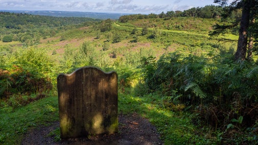 View from the Sailor's Stone at Hindhead Commons